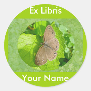 Adesivo Poucos artigos de coordenação da borboleta de