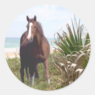 Adesivo Praia do Cavalo Sticker