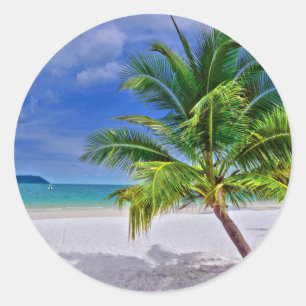 Adesivo Praia Tropical de Palm Tree Perfeita