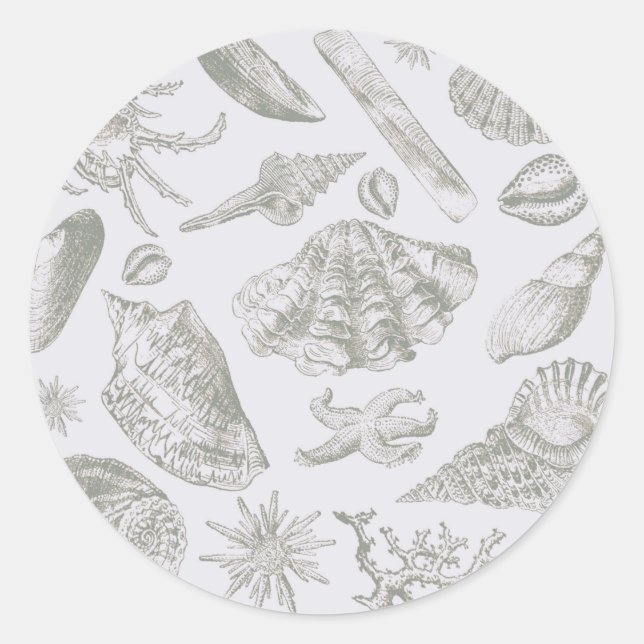 Adesivo Prateleiras de Arte Suave de Seashell (Frente)
