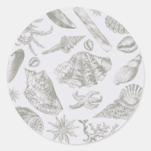 Adesivo Prateleiras de Arte Suave de Seashell
