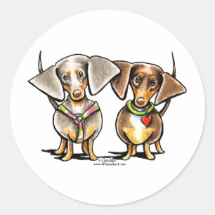 Adesivo Precipitando Dachshunds Dappled