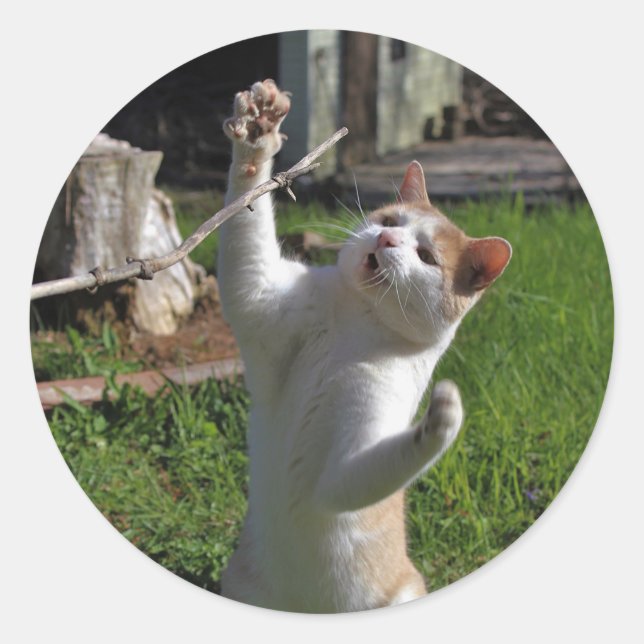 Adesivo Predador feroz (Frente)