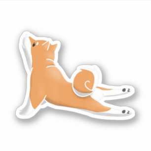 Adesivo presente de aniversário engraçado do shiba inu d