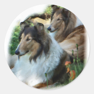 Adesivo Presentes ásperos da arte do Collie