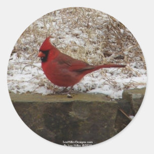 Adesivo Presentes Cardinal Hot Springs Nat. Park Mountain