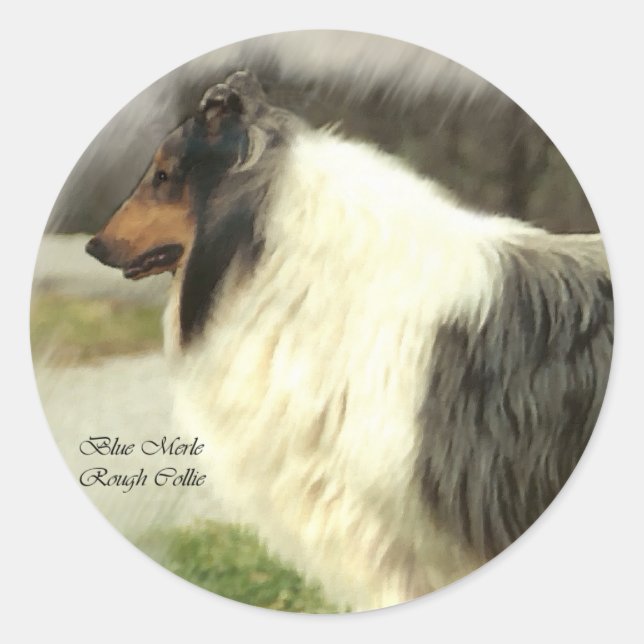 Adesivo Presentes de Arte Collie Rough Blue Merle (Frente)