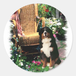 Adesivo Presentes de Arte de Cachorro de Montanha Bernese