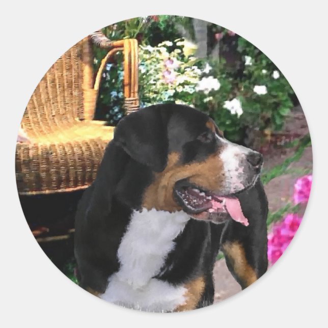 Adesivo Presentes de Arte para Cachorros na Grande Suíça (Frente)