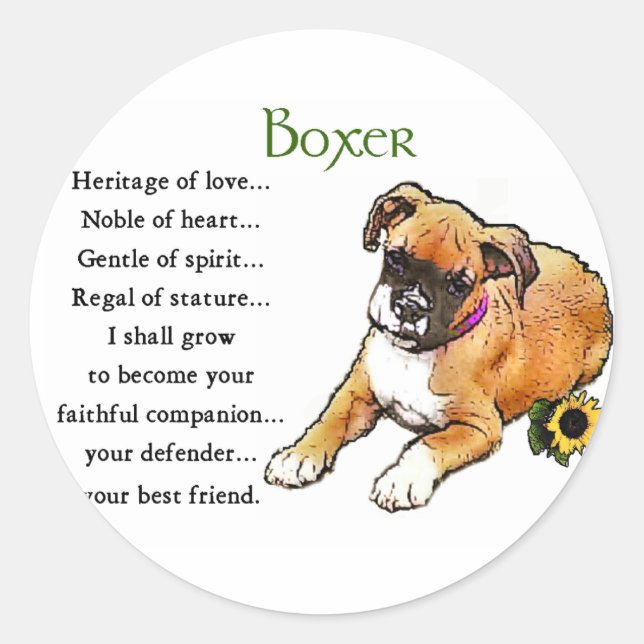 Adesivo Presentes de Boxer (Frente)