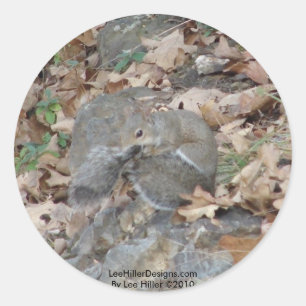 Adesivo Presentes de Camuflagem do Hot Springs Mountain, A