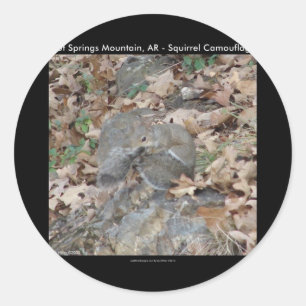 Adesivo Presentes de Camuflagem do Hot Springs Mountain, A