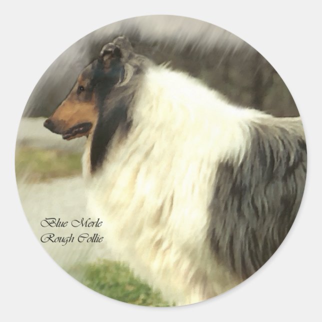 Adesivo Presentes de Collie Rough Rough Blue (Frente)