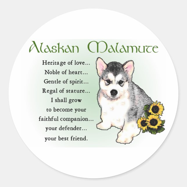 Adesivo Presentes de Malamute no Alasca (Frente)