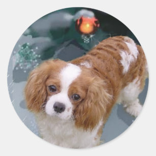 Adesivo Presentes de Natal do Cavalier King Charles Spanie