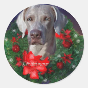Adesivo Presentes de Natal do Weimaraner