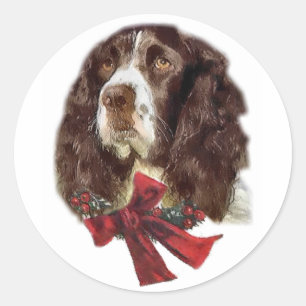 Adesivo Presentes de Natal Ingleses do Springer Spaniel