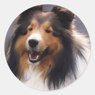 Adesivo Presentes de Sheltie do Sheepdog de Shetland