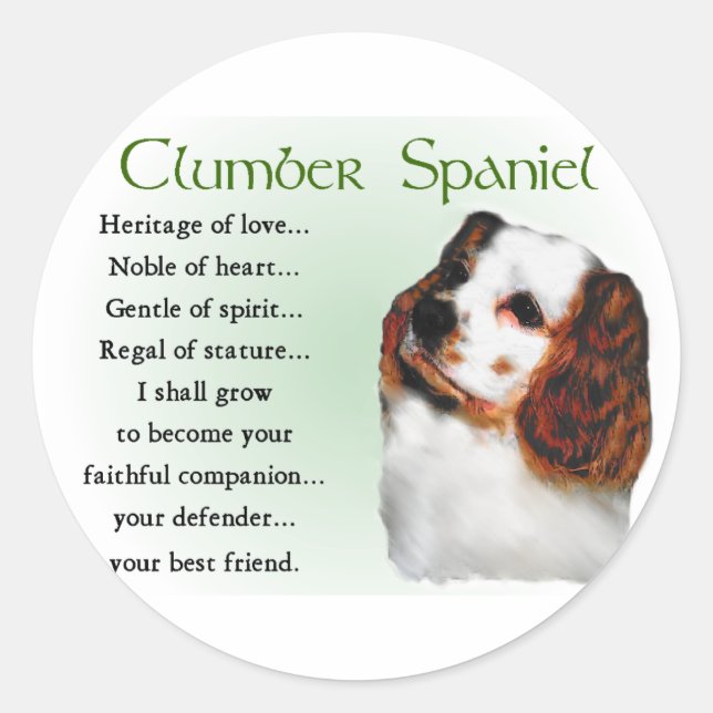 Adesivo Presentes do Clumber Spaniel (Frente)