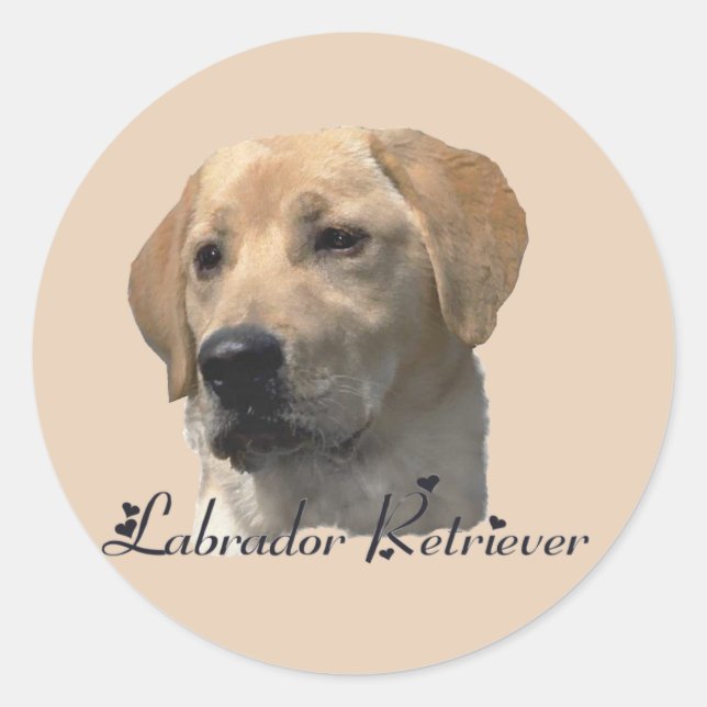 Adesivo Presentes do Labrador Retriever (Frente)