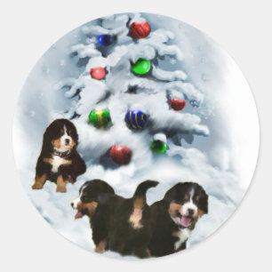 Adesivo Presentes do Natal do cão de montanha de Bernese
