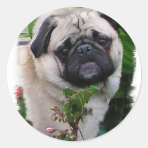 Adesivo Presentes dos amantes do Pug