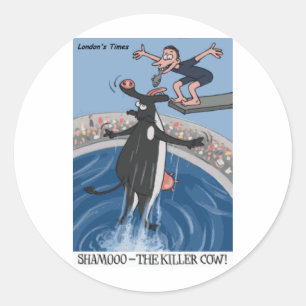 Adesivo Presentes e Coleções Engraçados Shamooo