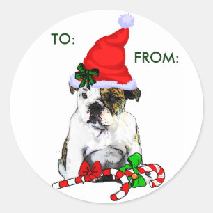 Adesivo Presentes ingleses do Natal do buldogue