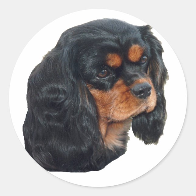 Adesivo Preto e marrom (Frente)