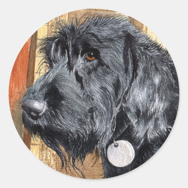 Adesivo Preto Labradoodle nº 1 Stickers (Frente)