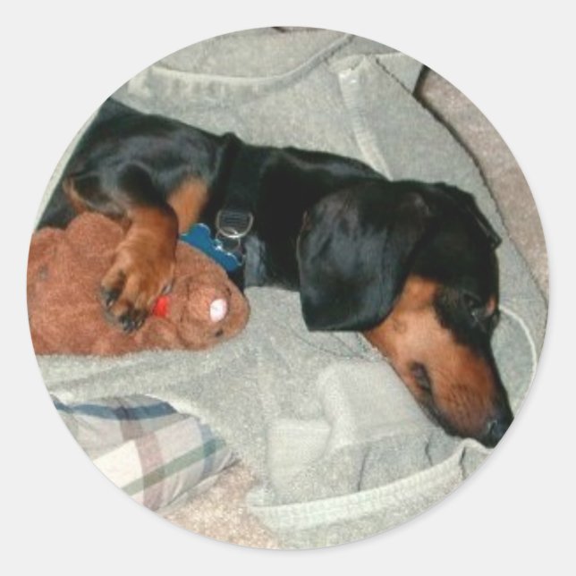 Adesivo Pretzel e Pal (Frente)