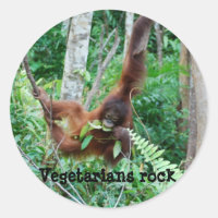 Primate Vegetarians Rock!