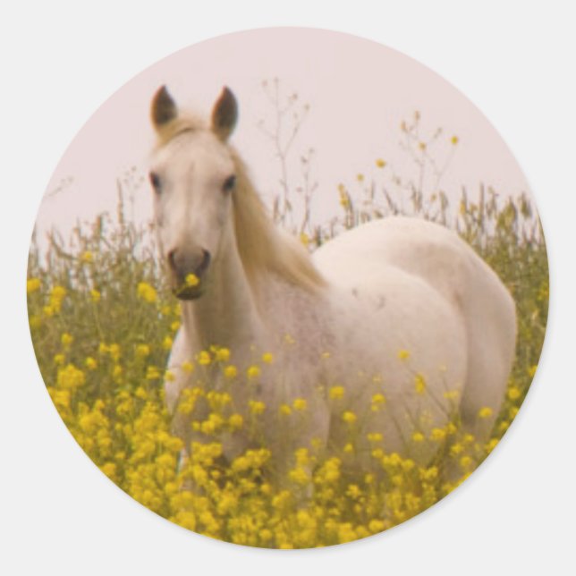 Adesivo Primavera (Frente)