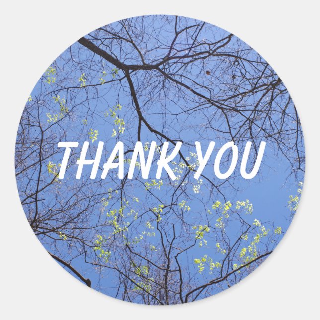 Adesivo Primavera Árvores Obrigado (Frente)