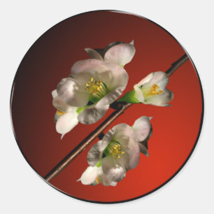 Adesivo Primavera Blossoms Fala Selo de Envelope Asiático