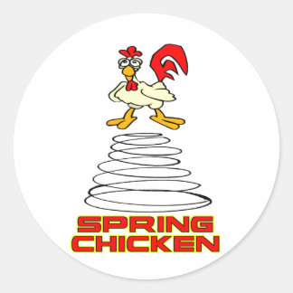Adesivo Primavera Chicken