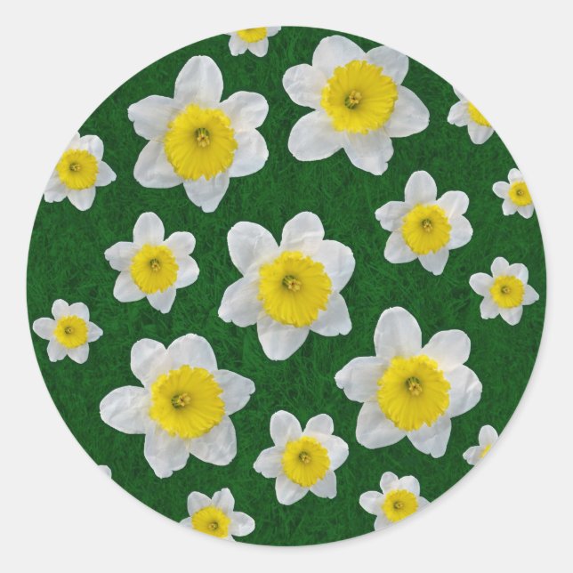 Adesivo Primavera Daffodils (Frente)