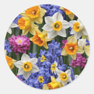 Adesivo Primavera Daffodils Bonito Floral