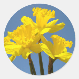 Adesivo Primavera Daffodils Palhetas para flores Vestir se