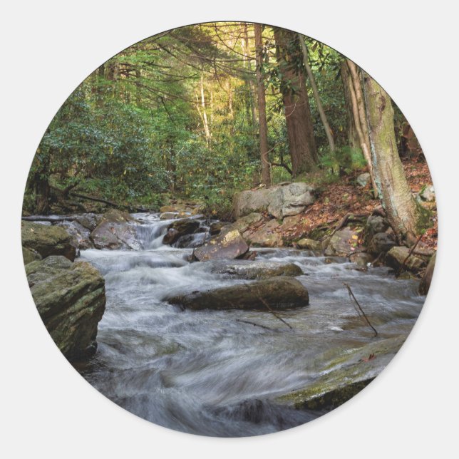 Adesivo Primavera de Areia, Hickory Run State Park (Frente)