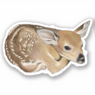 Adesivo Primavera Fawn, Veado Branco