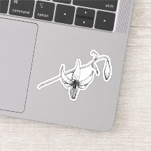 Primavera Floral | Columbia Lily | Vinheta botânic