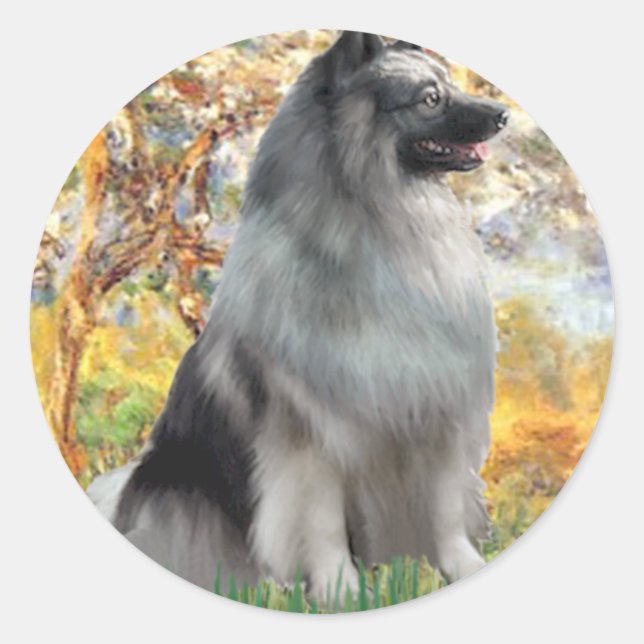 Adesivo Primavera - Keeshond (Frente)