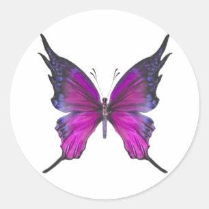 Adesivo Primavera Myst 3