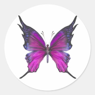 Adesivo Primavera Myst 3