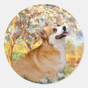 Adesivo Primavera - Pembroke Welsh Corgi 7b