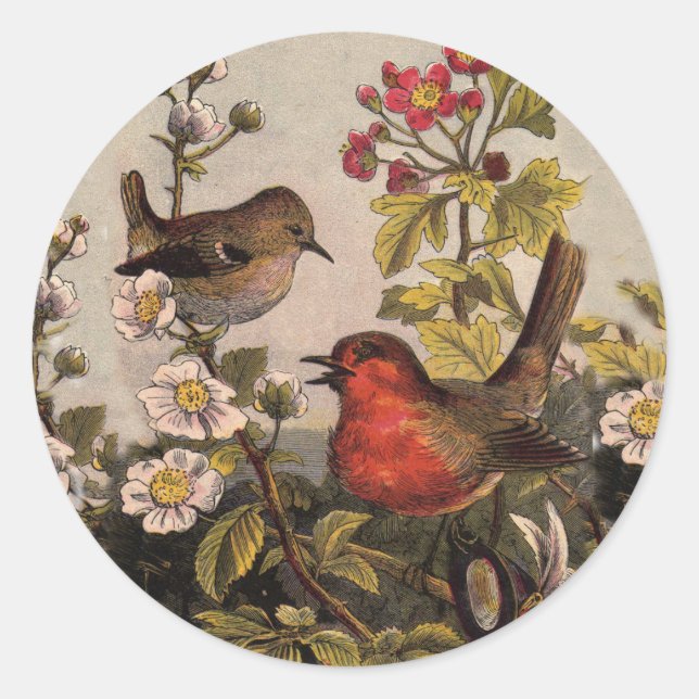 Adesivo Primavera Robin Birds Red Birds (Frente)
