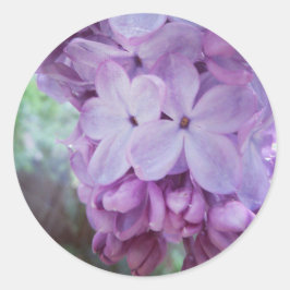 Adesivo Primavera roxo