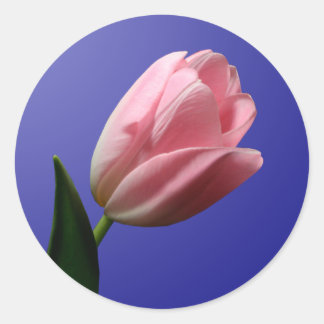 Adesivo Primavera Tulip Envelope Selo