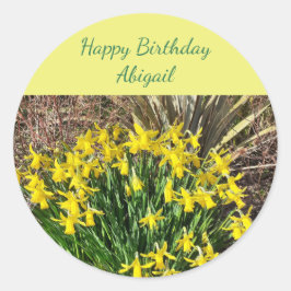 Adesivo Primavera Yellow Daffodils Birday
